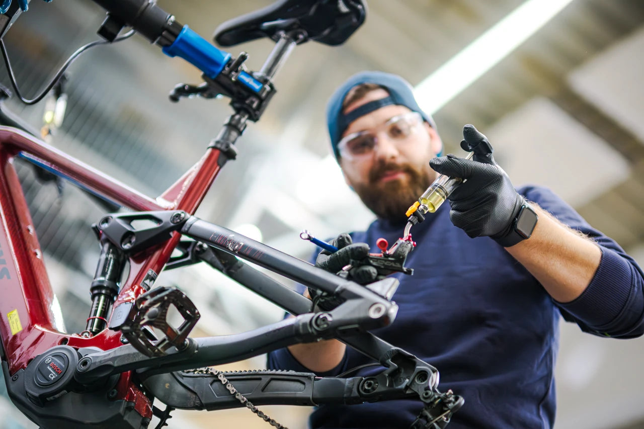triumph e-cloud plus 5 elektrofahrrad 28 Triumph e-cloud Plus City E-Bikes gebraucht