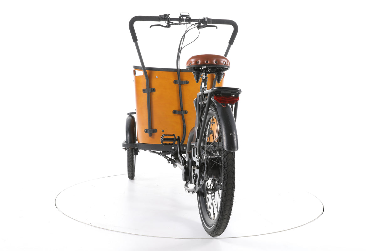 Tinbot B1 E-Lastenrad - Image 10