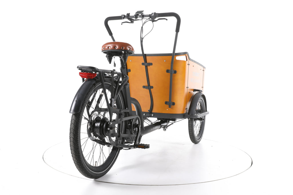 Tinbot B1 E-Lastenrad - Image 11