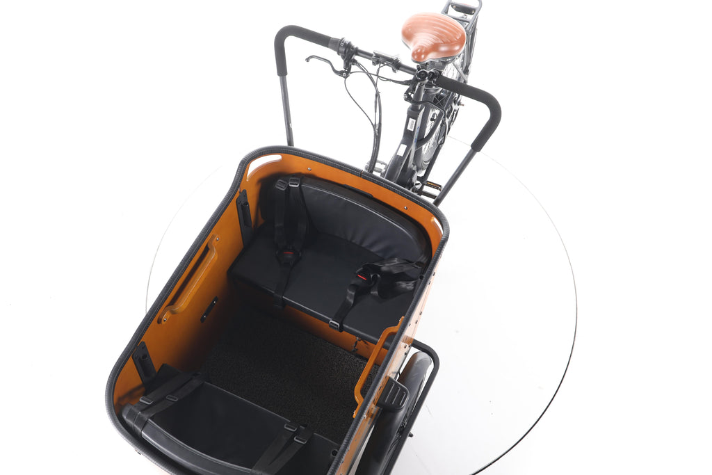 Tinbot B1 E-Lastenrad - Image 17