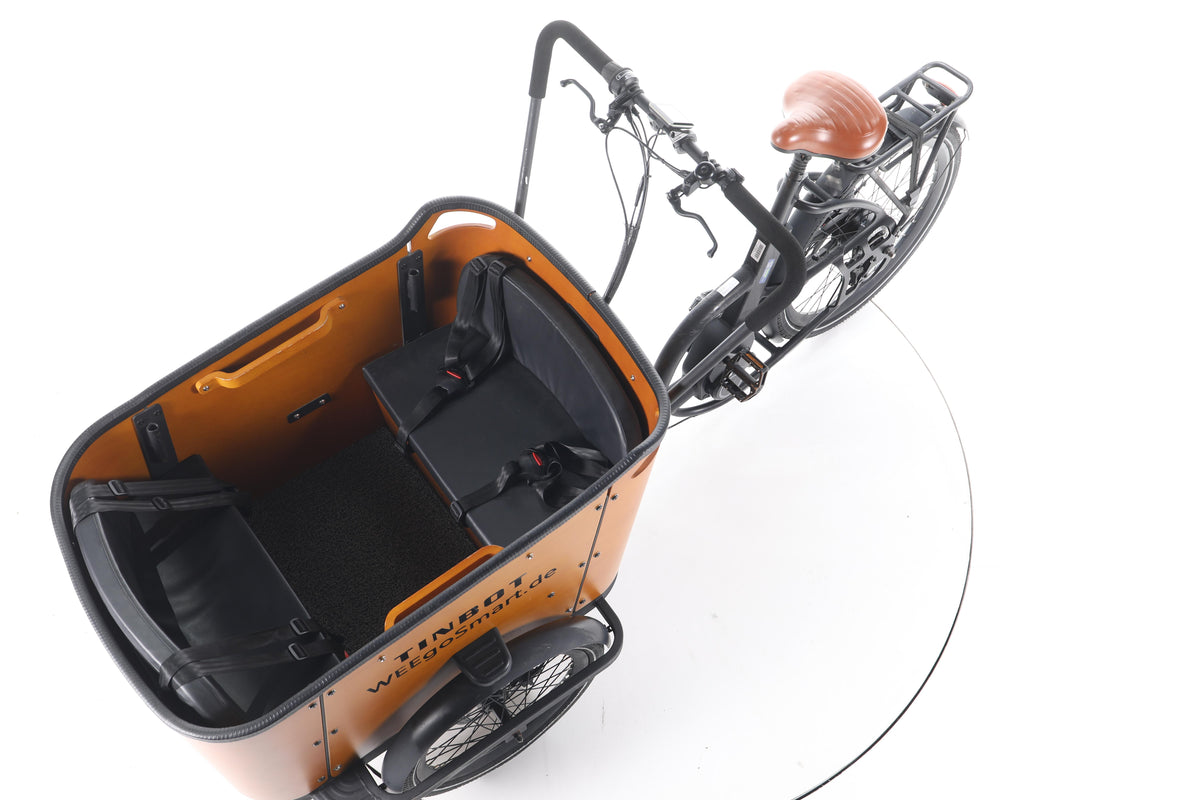 Tinbot B1 E-Lastenrad - Image 18