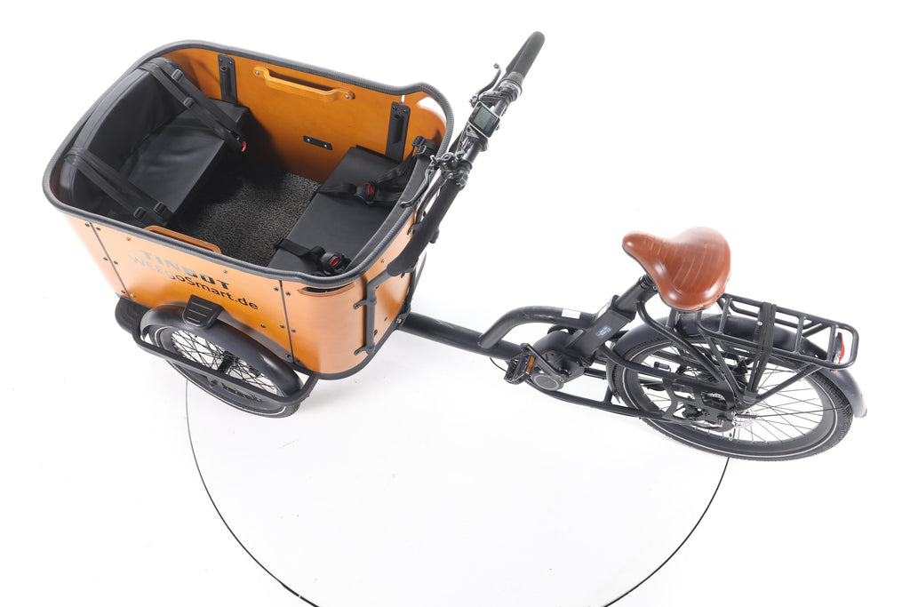 Tinbot B1 E-Lastenrad - Image 20