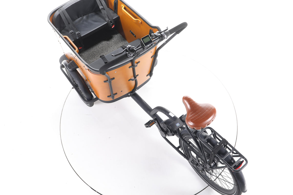 Tinbot B1 E-Lastenrad - Image 21