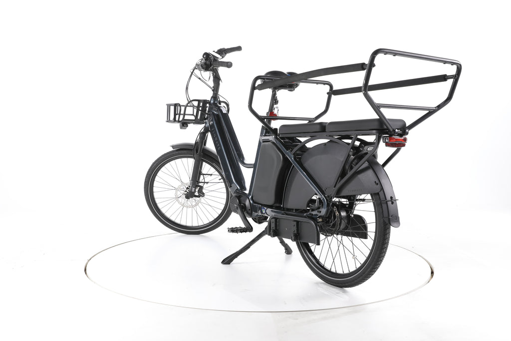 TENWAYS Long Tail Duo E-Lastenrad - Image 9