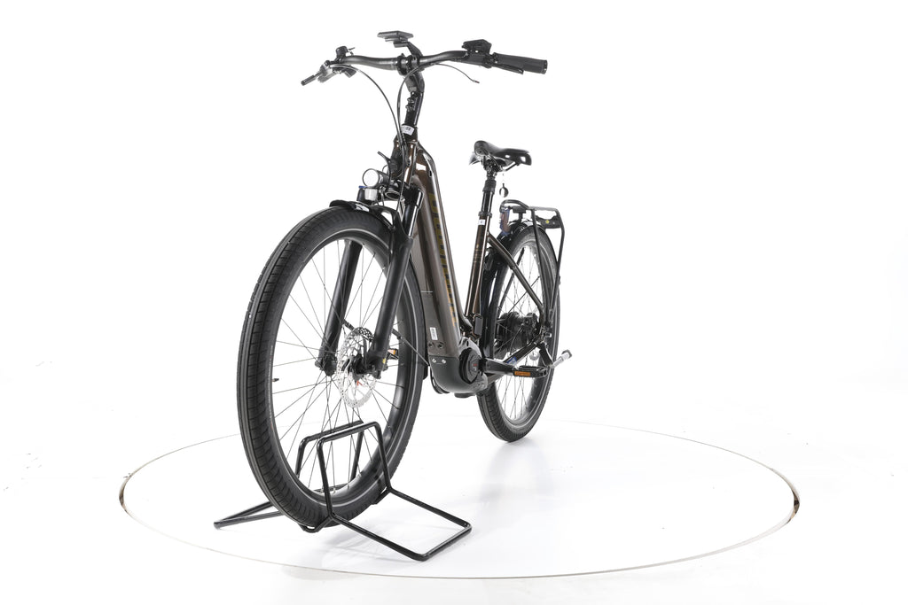 Diamant Opal Esprit City E-Bike Tiefeinsteiger - Image 5
