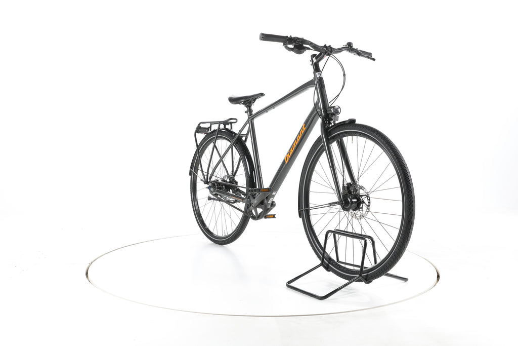 Diamant 247 Deluxe Fahrrad City & Trekking - Image 3