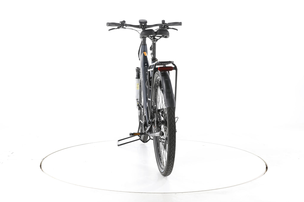 Pegasus Premio Evo 10 Lite Trekking E-Bike Tiefeinsteiger - Image 10