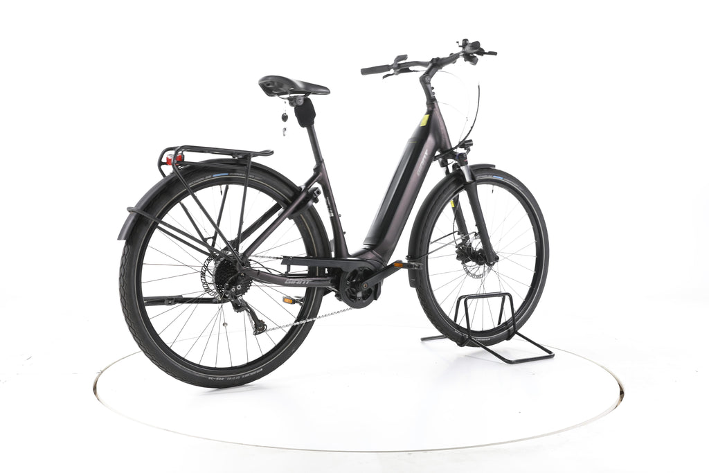 Giant DailyTour E+ 3 LDS Trekking E-Bike Tiefeinsteiger - Image 12
