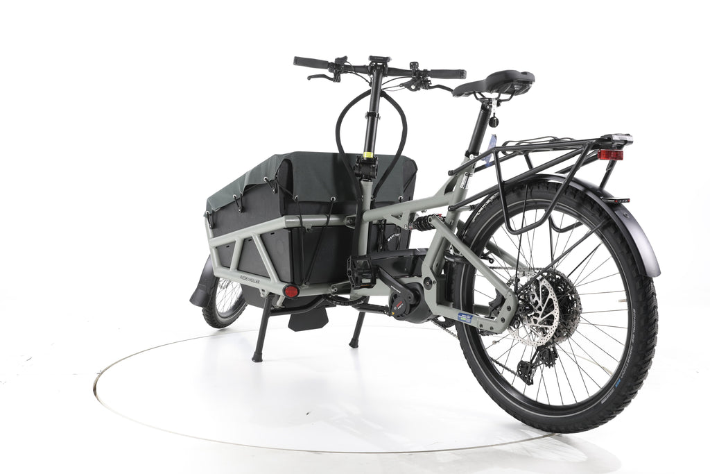 Riese & Müller Load 60 touring E-Lastenrad - Image 9