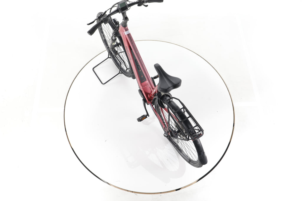 Pegasus Premio EVO 10 Trekking E-Bike - Image 21