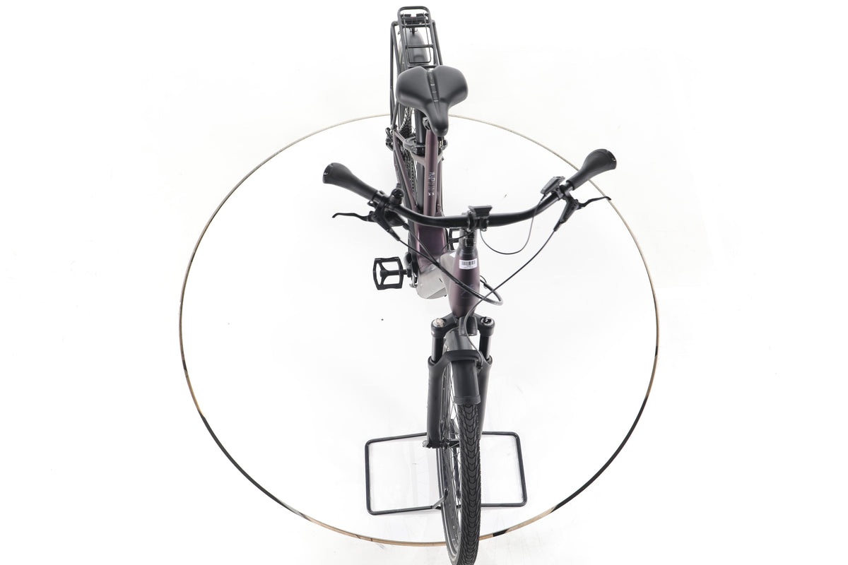 Pegasus Premio Evo 11 Trekking E-Bike Tiefeinsteiger - Image 16