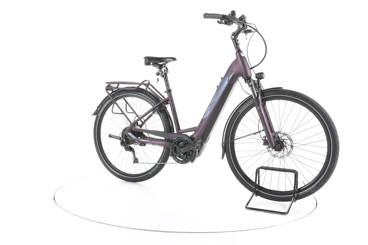 Pegasus Solero EVO 9 Trekking E-Bike Tiefeinsteiger - Image 2
