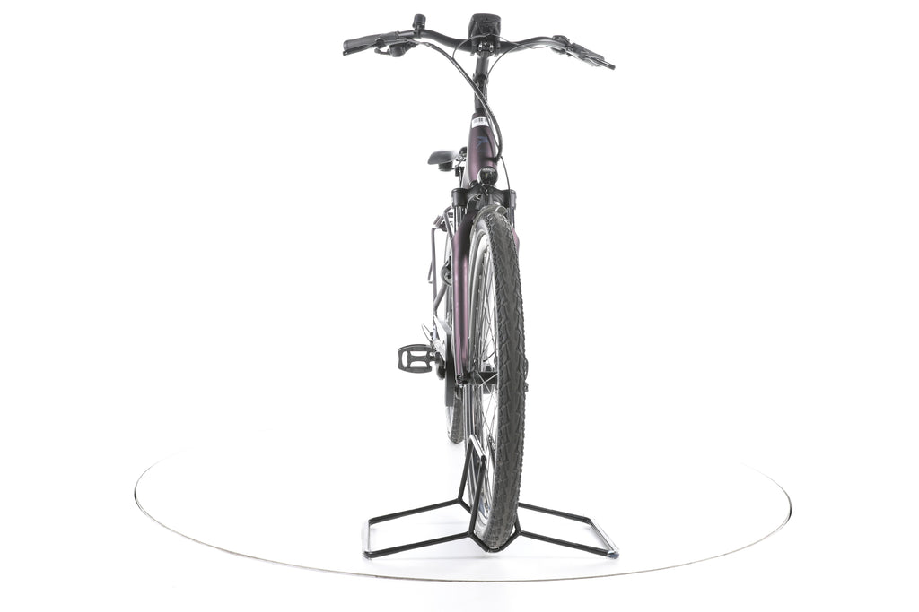 Pegasus Solero EVO 9 Trekking E-Bike Tiefeinsteiger - Image 4