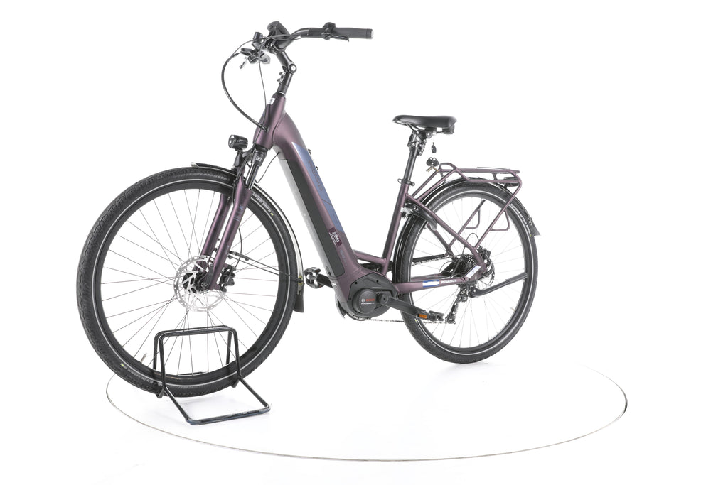 Pegasus Solero EVO 9 Trekking E-Bike Tiefeinsteiger - Image 6