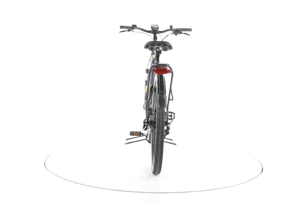 Pegasus Solero EVO 9 Trekking E-Bike Tiefeinsteiger - Image 10