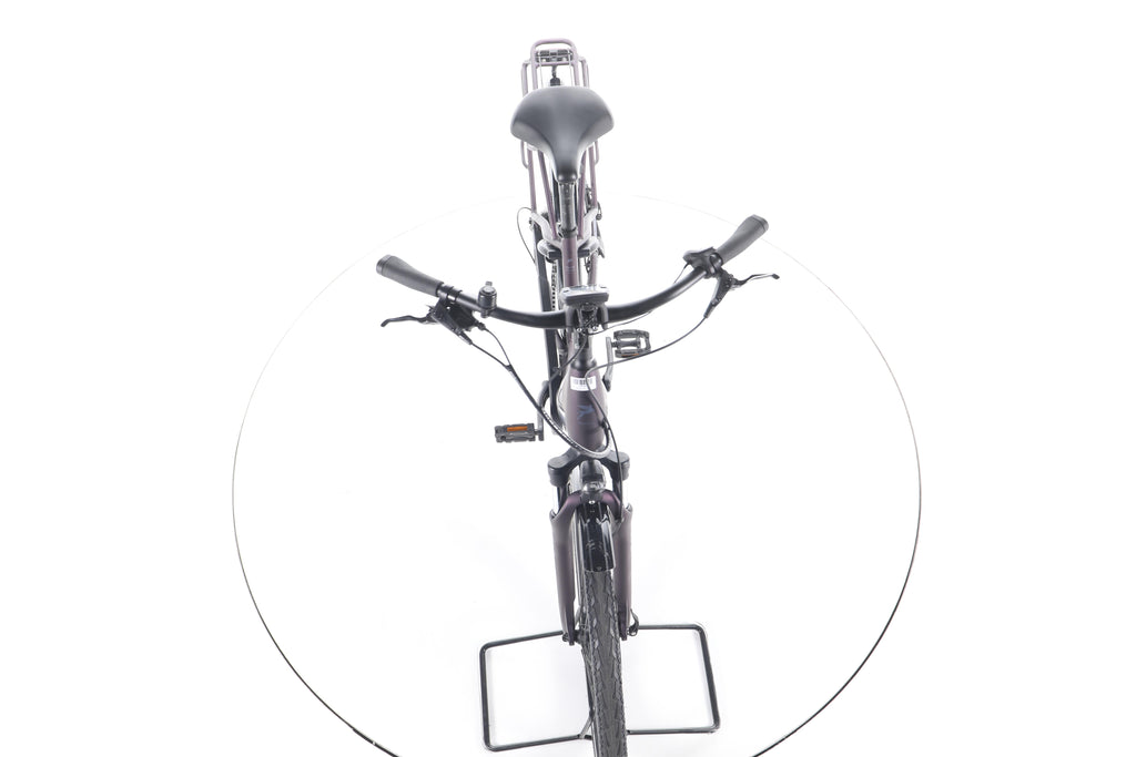 Pegasus Solero EVO 9 Trekking E-Bike Tiefeinsteiger - Image 16
