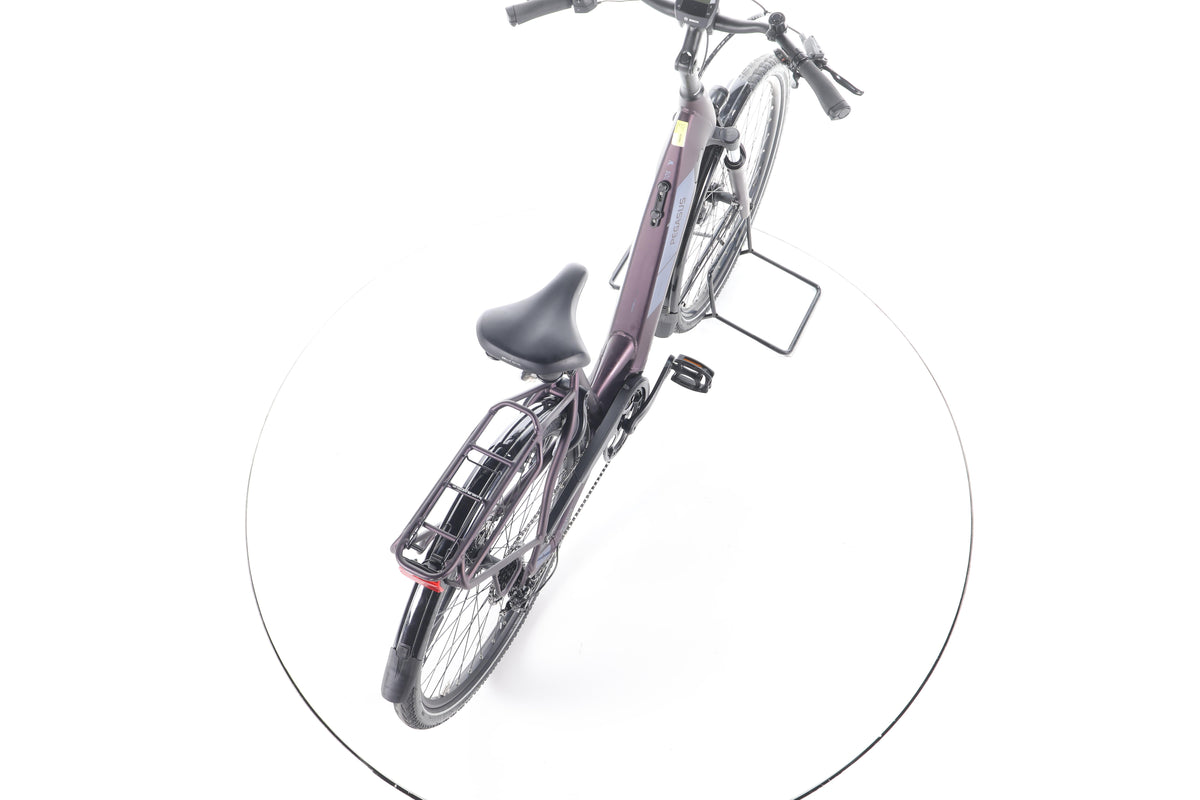 Pegasus Solero EVO 9 Trekking E-Bike Tiefeinsteiger - Image 23