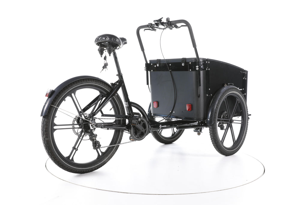 Cargobike of Sweden Delight Lastenrad E-Lastenrad - Image 12
