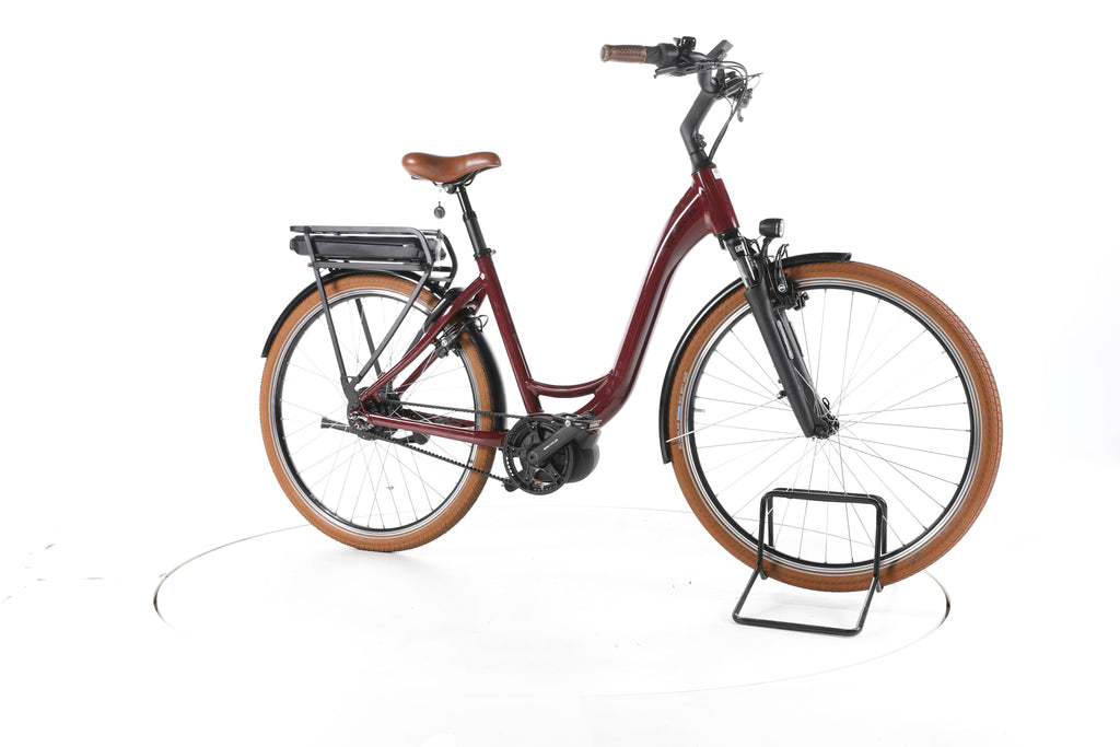 Riese & Müller Swing City E-Bike Tiefeinsteiger 2024 - Image 2