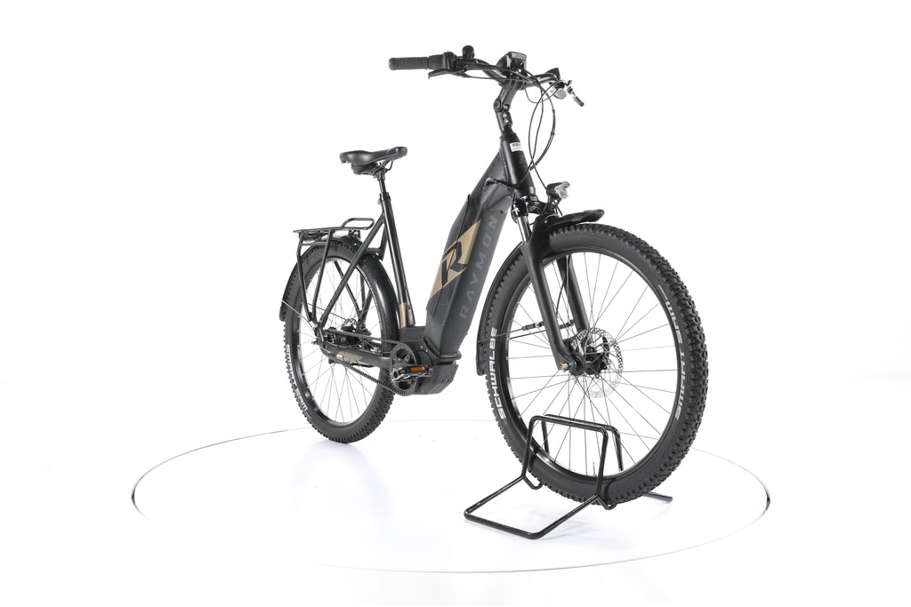 R Raymon UrbanRay E 8.0 City E-Bike Tiefeinsteiger - Image 3