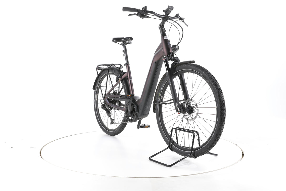 Pegasus Premio EVO Lite Trekking E-Bike Tiefeinsteiger - Image 3