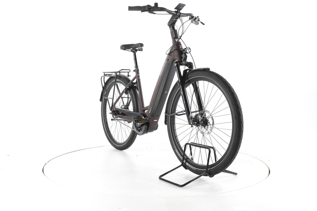 Pegasus Strong EVO 5R City E-Bike Tiefeinsteiger - Image 3