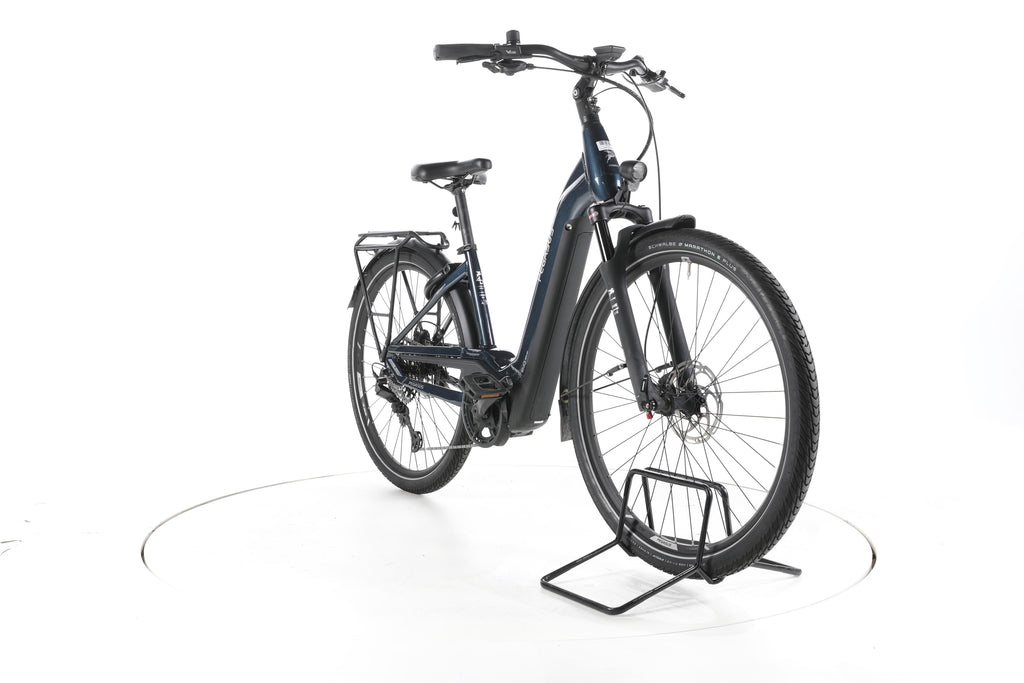 Pegasus Premio EVO 11 "40th Years" Trekking E-Bike Tiefeinsteiger - Image 3