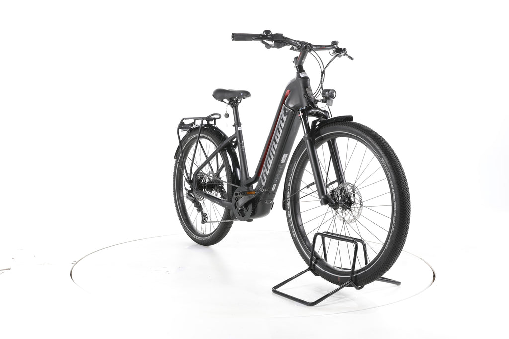 Diamant Zouma Deluxe+ Trekking E-Bike Tiefeinsteiger - Image 3