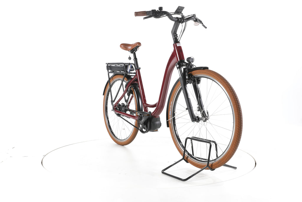 Riese & Müller Swing City E-Bike Tiefeinsteiger 2024 - Image 3