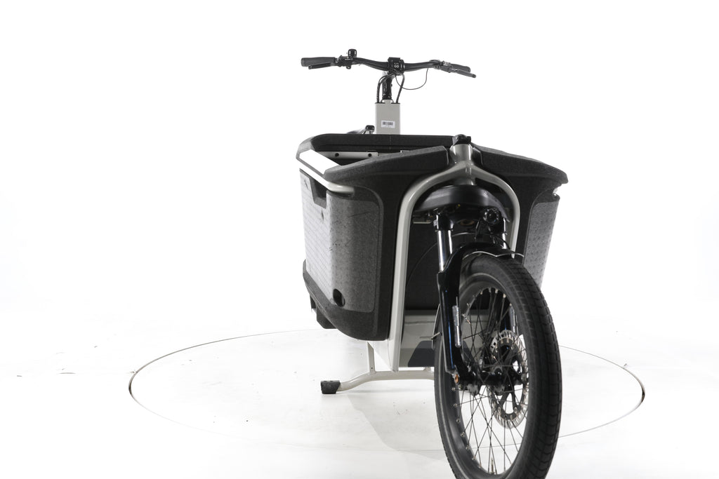 Ca Go FS200 Life EX E-Lastenrad - Image 4