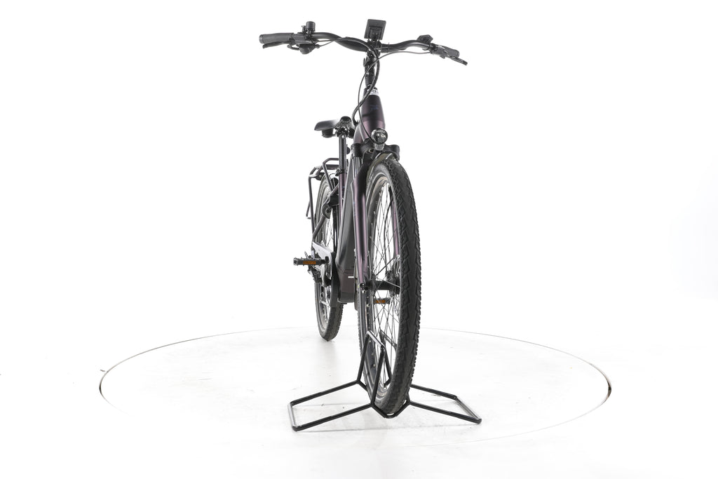 Pegasus Solero Evo 9 Trekking E-Bike Tiefeinsteiger 2024 - Image 4