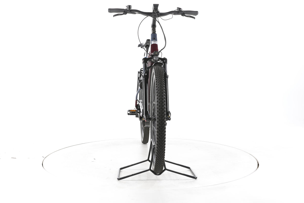 ADVANCED Ebike Trekking Pro City E-Bike Tiefeinsteiger - Image 4