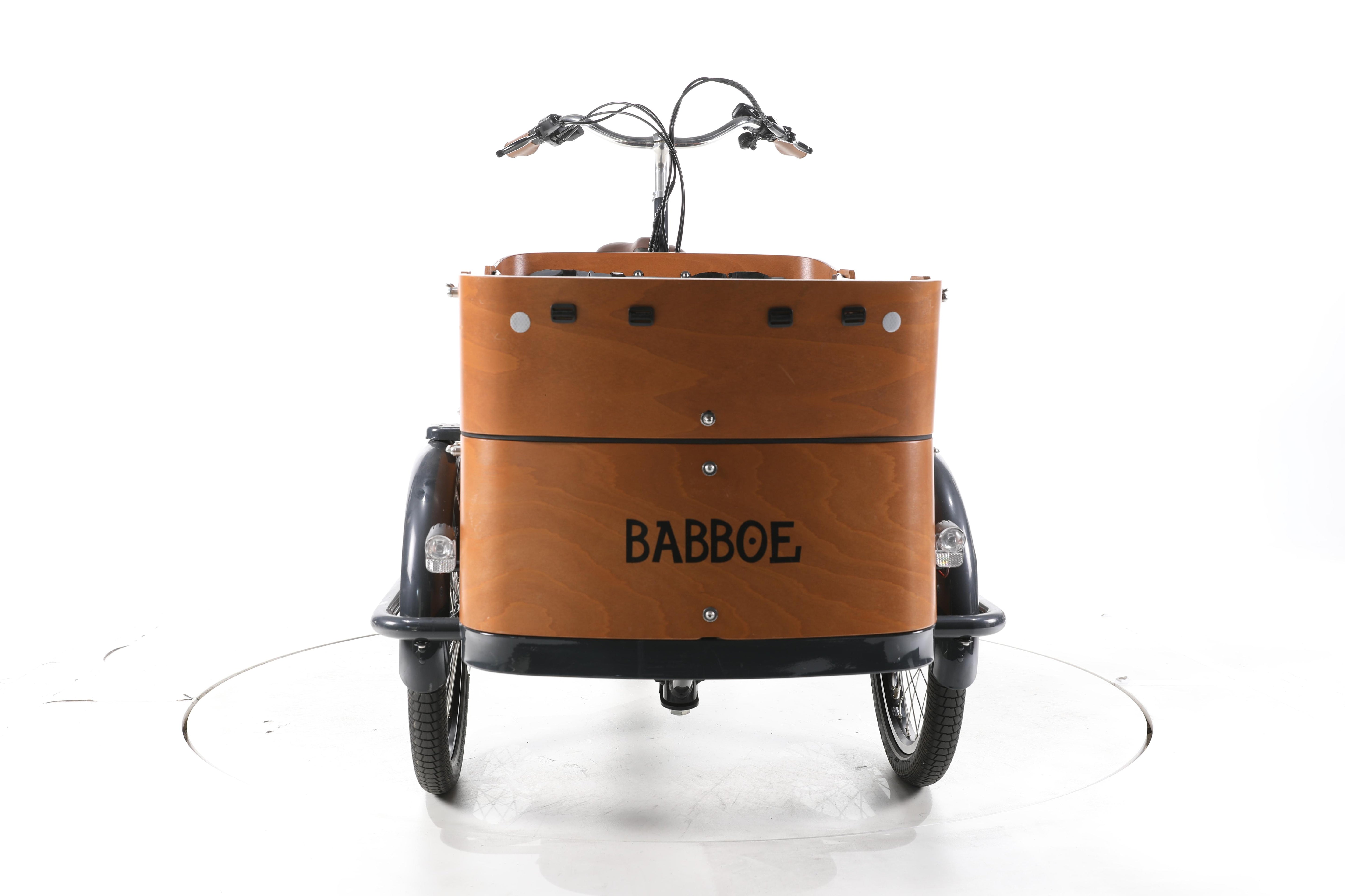 Babboe Curve Mountain E-Lastenrad - Image 4