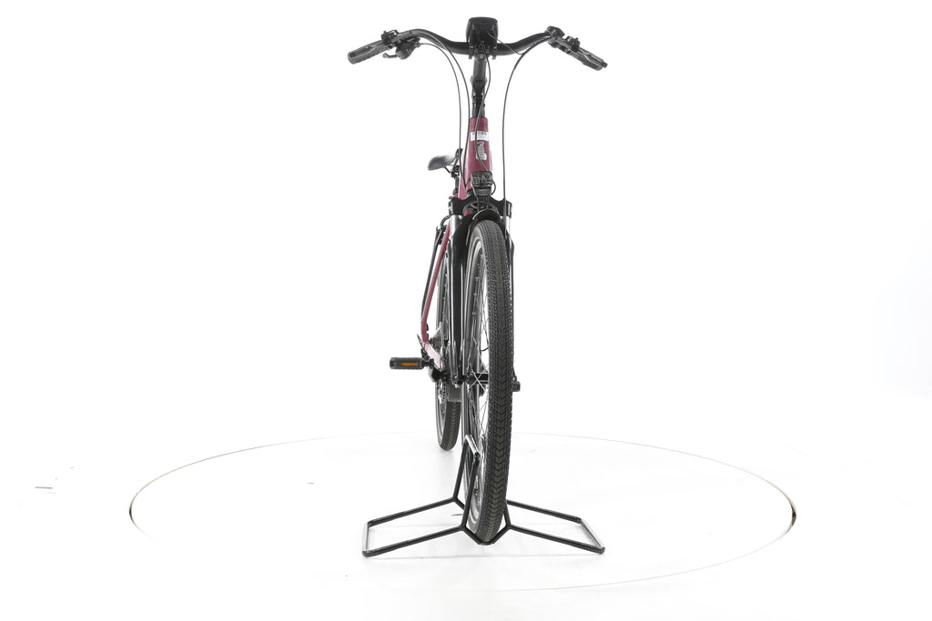 Raleigh Kent 9 Trekking E-Bike Tiefeinsteiger - Image 4