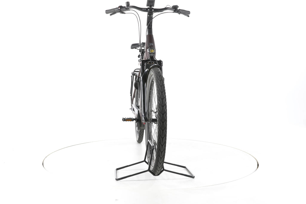 Pegasus Strong EVO 5R City E-Bike Tiefeinsteiger 2024 - Image 4