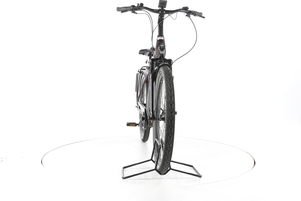 Pegasus Strong 5R City E-Bike Tiefeinsteiger 2024 - Image 4