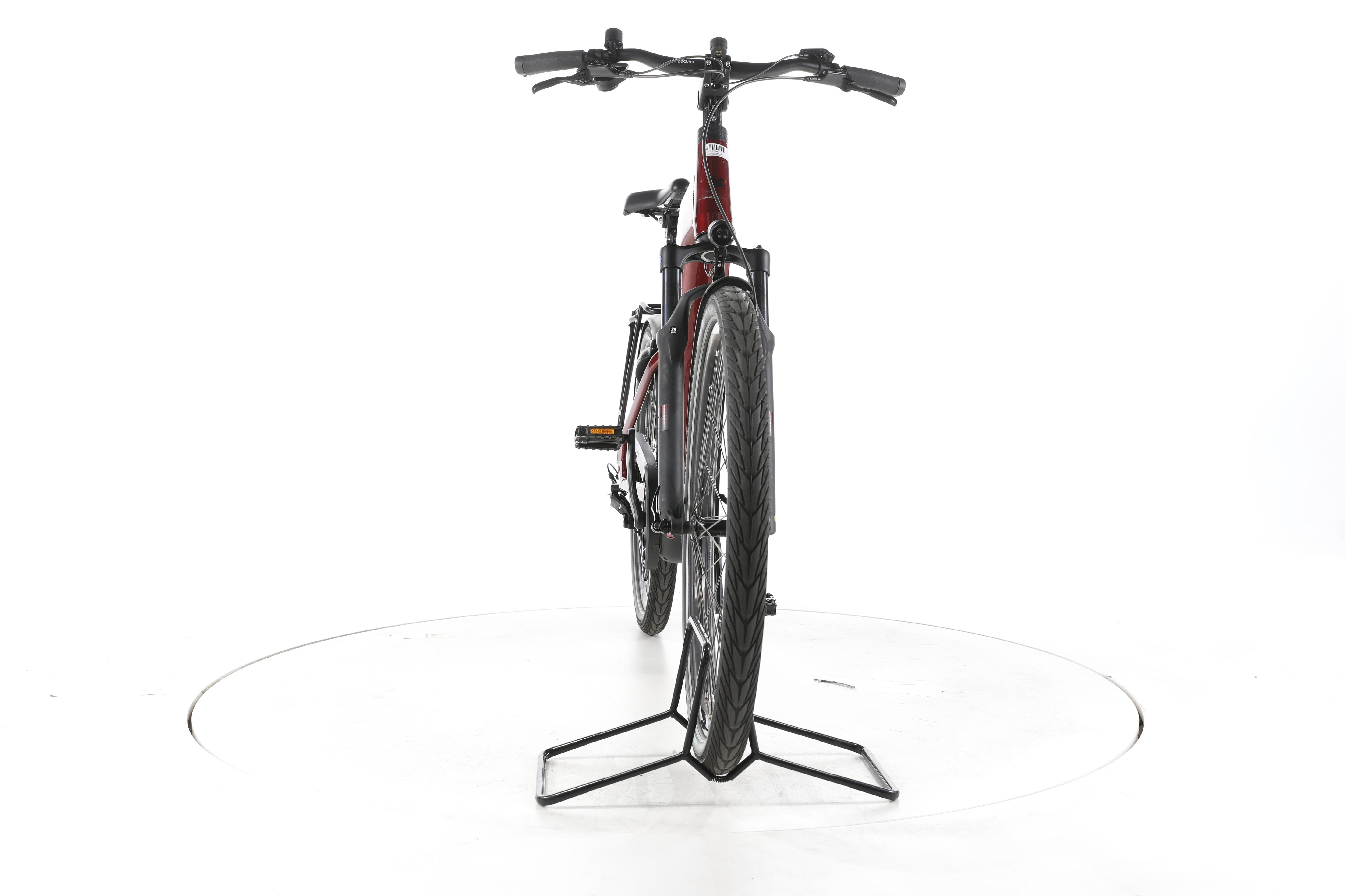 Pegasus Strong Evo 10 Lite Trekking E-Bike Tiefeinsteiger 2025 - Image 4