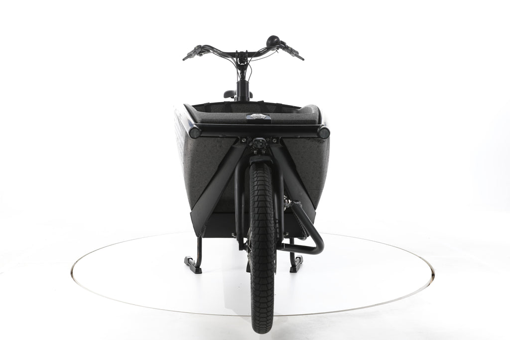 Urban Arrow Family Cargo Line E-Lastenrad - Image 4