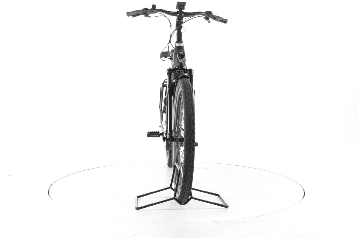 Pegasus Strong EVO 5R City E-Bike Tiefeinsteiger - Image 4