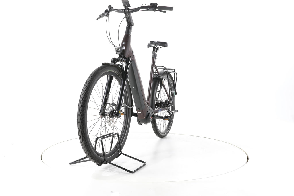 Pegasus Strong EVO 5R City E-Bike Tiefeinsteiger 2024 - Image 5