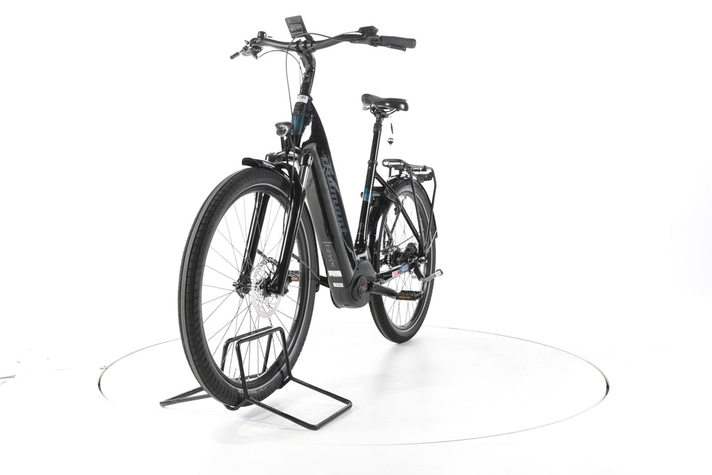 Diamant Beryll Esprit RT City E-Bike Tiefeinsteiger 2025 - Image 5
