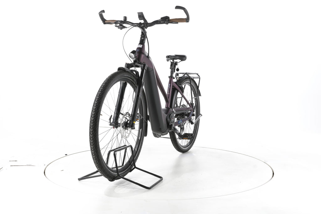 Pegasus Premio EVO 11 "40 Years" Trekking E-Bike - Image 5