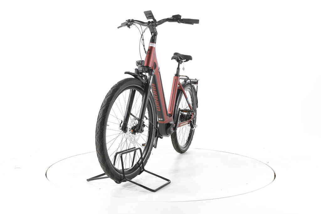 Winora Sinus N5 City E-Bike Tiefeinsteiger 2024 - Image 5