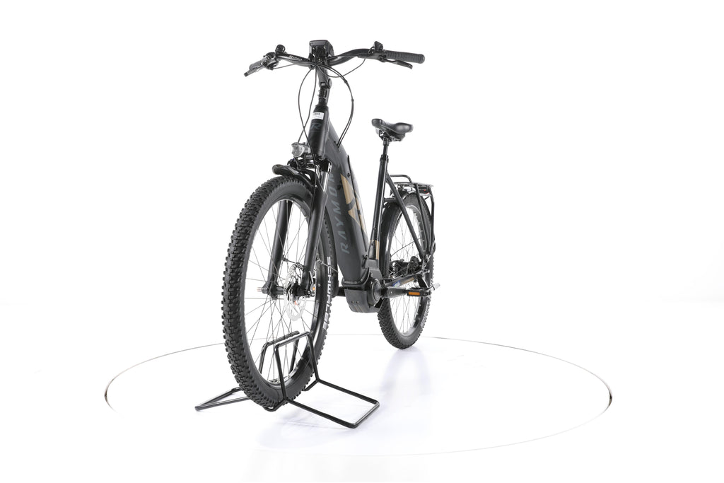 R Raymon UrbanRay E 8.0 City E-Bike Tiefeinsteiger - Image 5