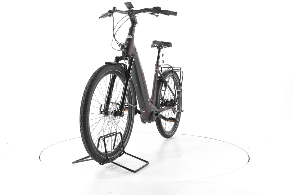 Pegasus Strong EVO 5R City E-Bike Tiefeinsteiger - Image 5