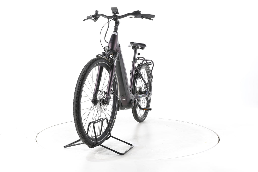 Pegasus Solero Evo 9 Trekking E-Bike Tiefeinsteiger 2024 - Image 5