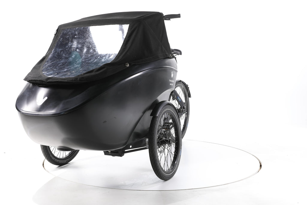Triobike Mono E E-Lastenrad - Image 5