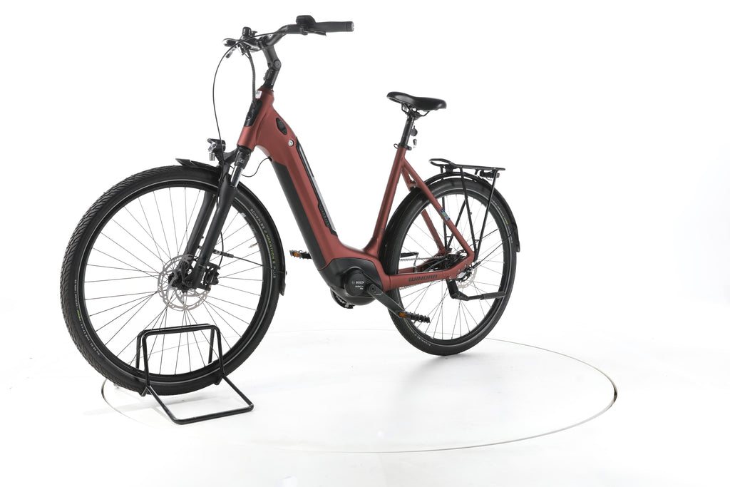 Winora Tria N8 eco City E-Bike Tiefeinsteiger - Image 6