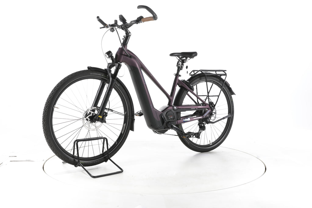 Pegasus Premio EVO 11 "40 Years" Trekking E-Bike - Image 6
