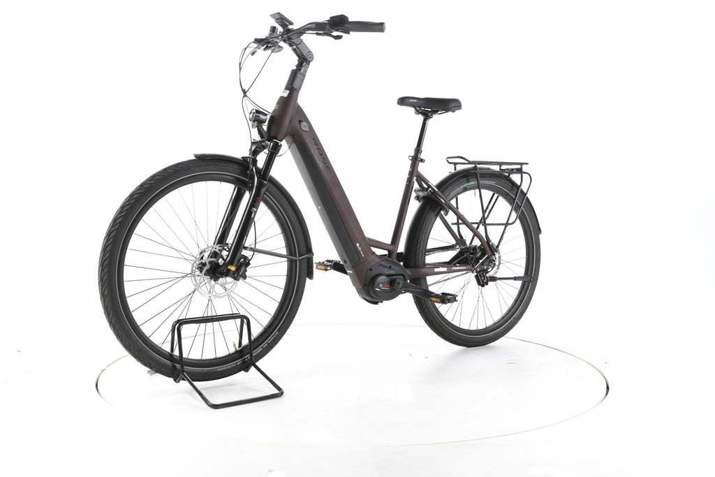 Pegasus Strong EVO 5R City E-Bike Tiefeinsteiger - Image 6